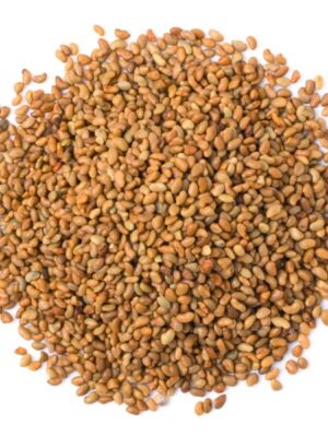 Alfalfa Seeds for Sprouting