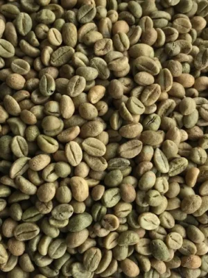 Arabica green coffee – Commercial Arabica green coffee – Commercial