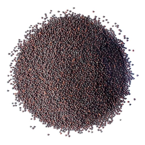 Broccoli Seeds for Sprouting Broccoli Seeds for Sprouting