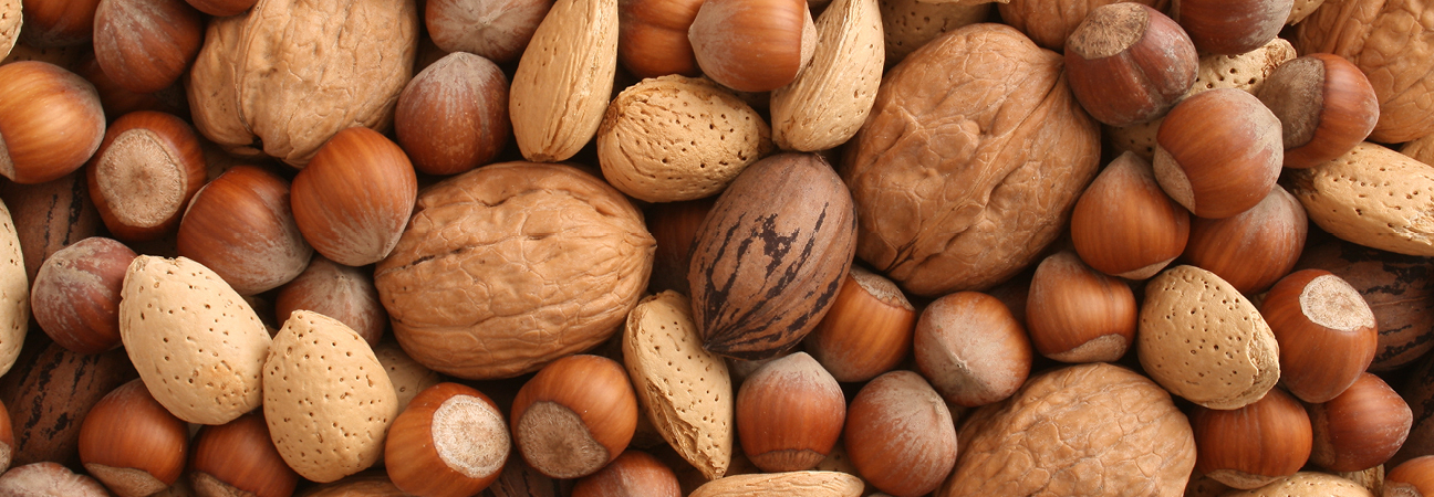 Nut_banner Almonds and Cashews Roasted and Salted Mix