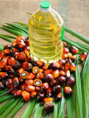 Palm Oil