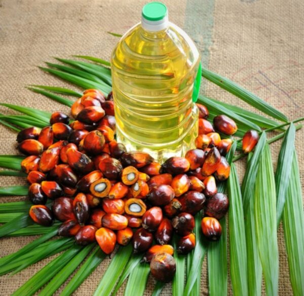 Palm Oil Palm Oil