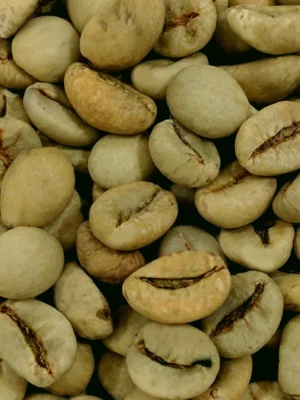 Robusta Green Coffee – Commercial Robusta Green Coffee – Commercial