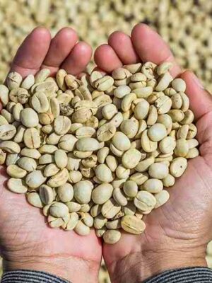 YIRGACHEFFE WASHED COFFEE Yirgacheffe Washed Coffee